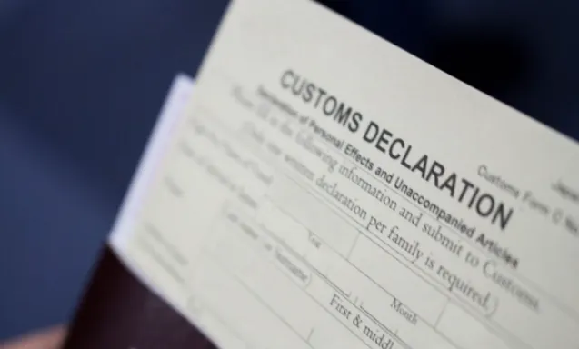 Bijoni Customs Clearance Support
